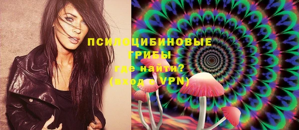 спайс Алексин