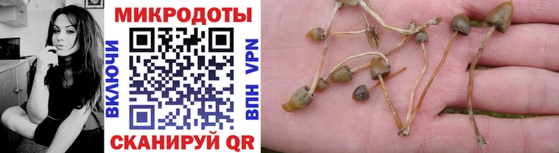 Галлюциногенные грибы Magic Shrooms  Андреаполь 